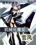 机械化魔女雪风 全文阅读