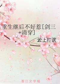 重生继后不好惹[清穿