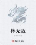 林无敌玄幻小说