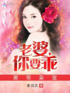 黑帝枭宠:老婆