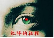 红眸的征程TXT下载