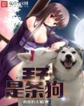 王子 犬