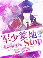 蜜妻甜辣辣：军少爹地,stop