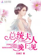 总统夫人早安的小说