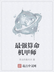 最强算命师小说