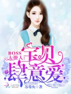 Boss太撩人：宝贝,肆意爱