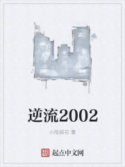 逆流2002