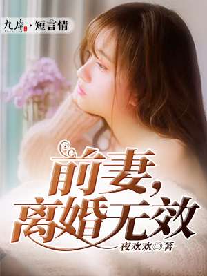 前妻,离婚无效