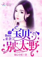 Boss来袭：宝贝,别太野