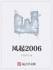 风起2005在线阅读