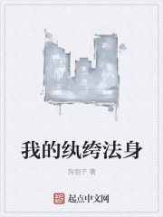 纨绔法师小说