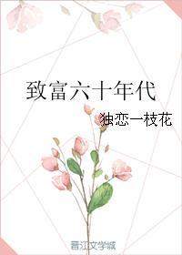 六零年代发家致富文