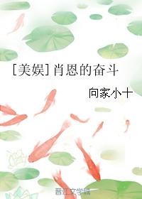 美娱肖恩的奋斗无防盗