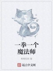 一拳一个魔法师的小说