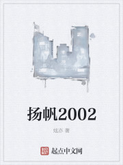 扬帆2002 小说