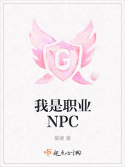 我是职业npc小说