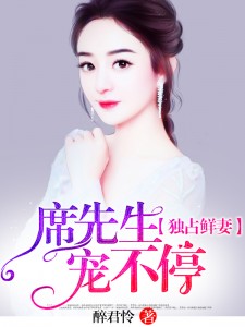 席先生宠妻举世无双 小说