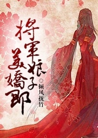 将军娘子电视