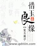 红楼梦之玉良缘