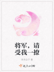 将军,请受我一撩