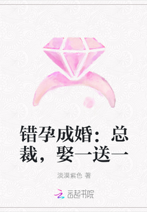 错孕成婚：总裁,娶一送一