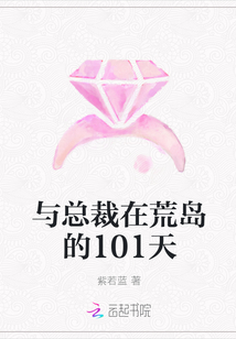 与总裁在荒岛的101天