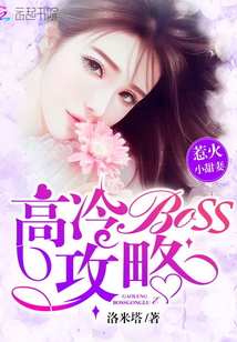 惹火小甜妻：高冷Boss攻略