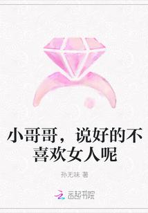 小哥哥,说好的不喜欢女人呢