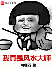 我是风水师免费