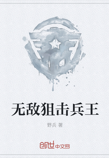 无敌兵王 小说