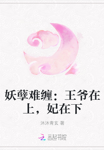 妖孽难缠：王爷在上,妃在下