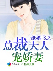 一纸婚书之总裁大人宠娇妻