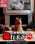 猫行天下下一句