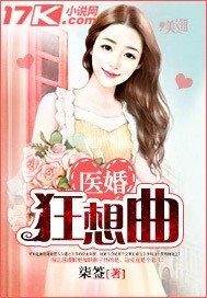 医婚狂想曲 小说