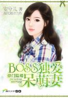 隐婚独宠boss的