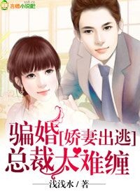 闪婚独宠