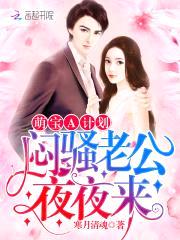 萌宝A计划：闷sao老公，夜夜来