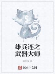 雄兵连之武器大师