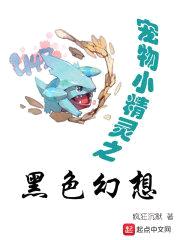 宠物小精灵之黑色幻想