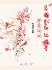 甜蜜宠婚，总裁的新婚悍妻