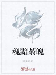 零度武戒