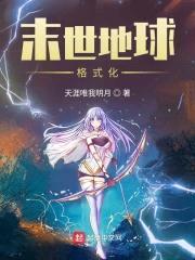末世地球格式化