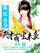 《狐妃夫人萌萌哒》 小说