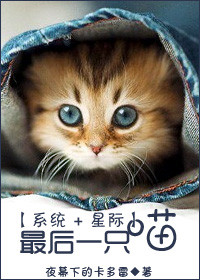 最后一只橘猫o