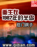 意外重生到1987年小说