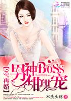 99再婚：男神BOSS甜甜宠