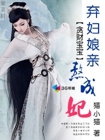 贪财宝宝:弃妇娘亲熬成妃小说未删减版