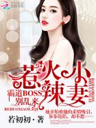 惹火小辣妻：霸道BOSS,别乱来！